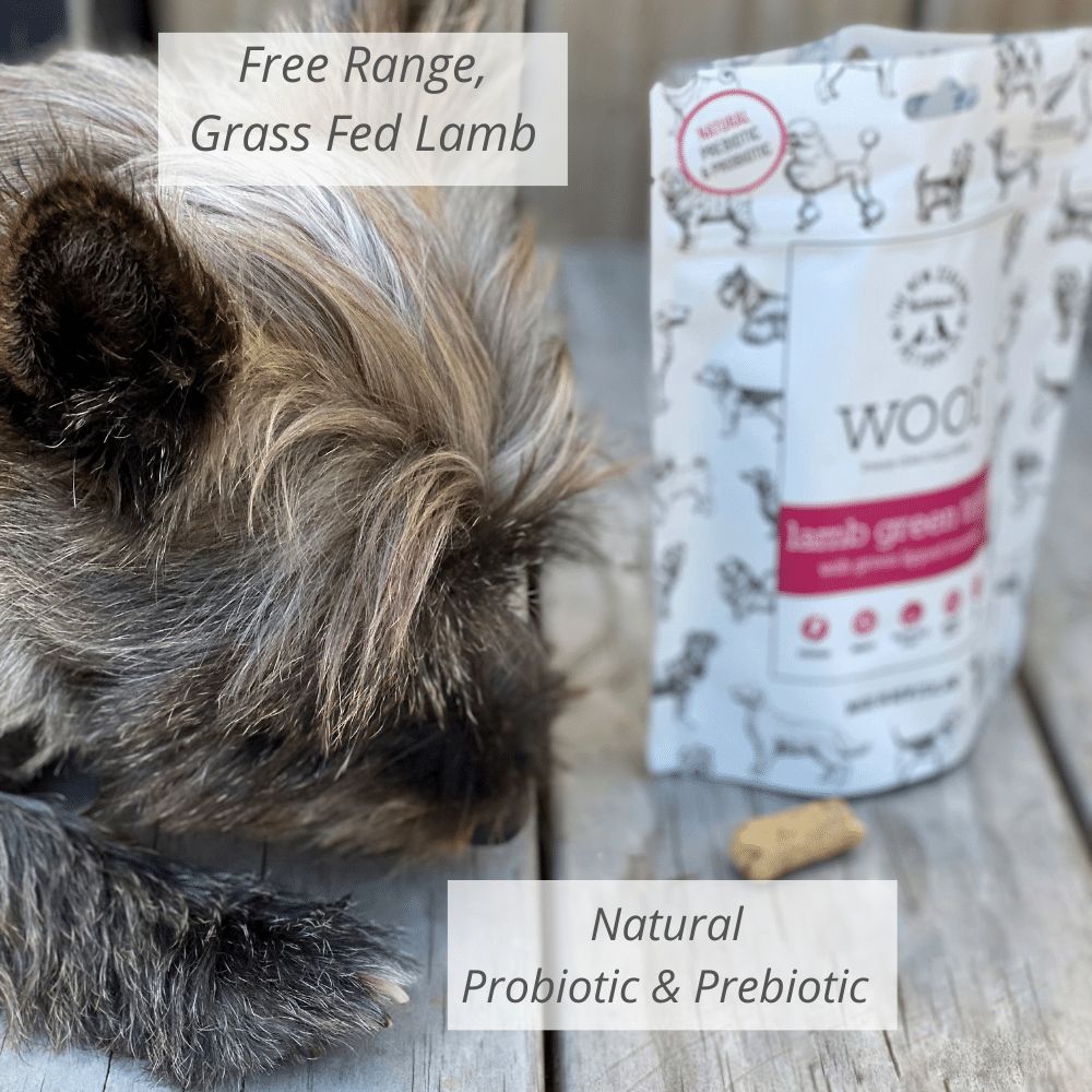 New Zealand Lamb Green Tripe Dog Treats