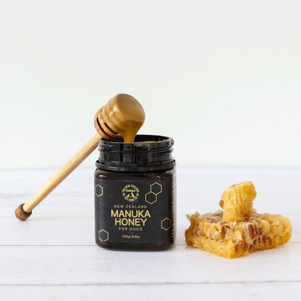 Manuka Honey Treat for Dogs