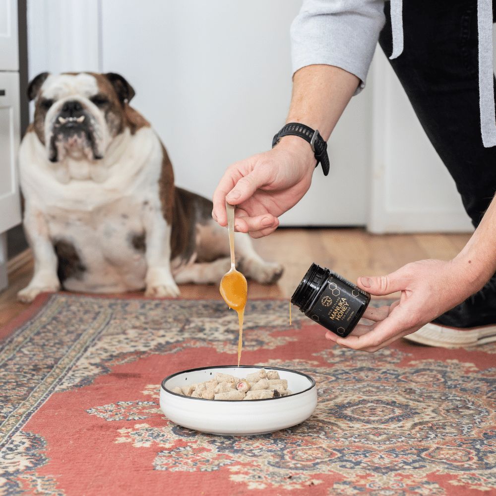 Manuka Honey Treat for Dogs