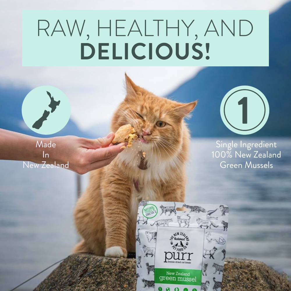 New Zealand Green Mussel Cat Treats