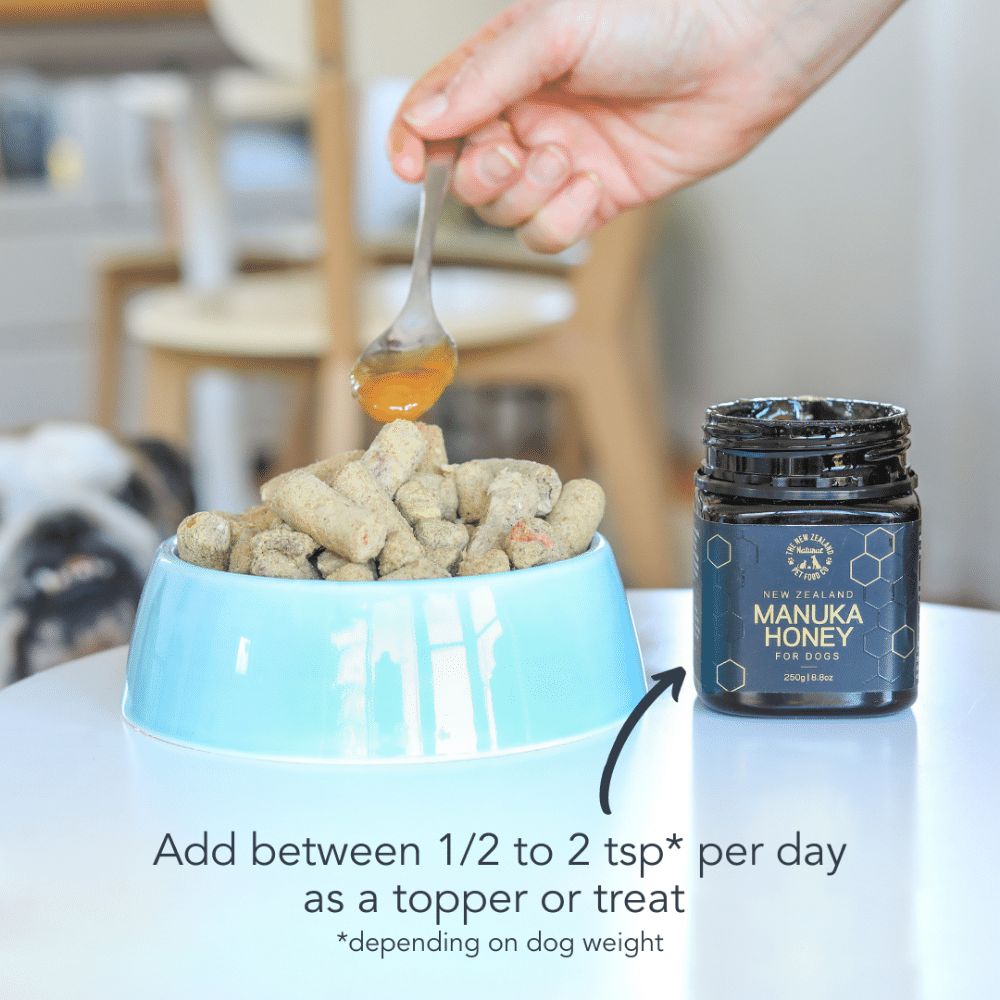Manuka Honey Treat for Dogs
