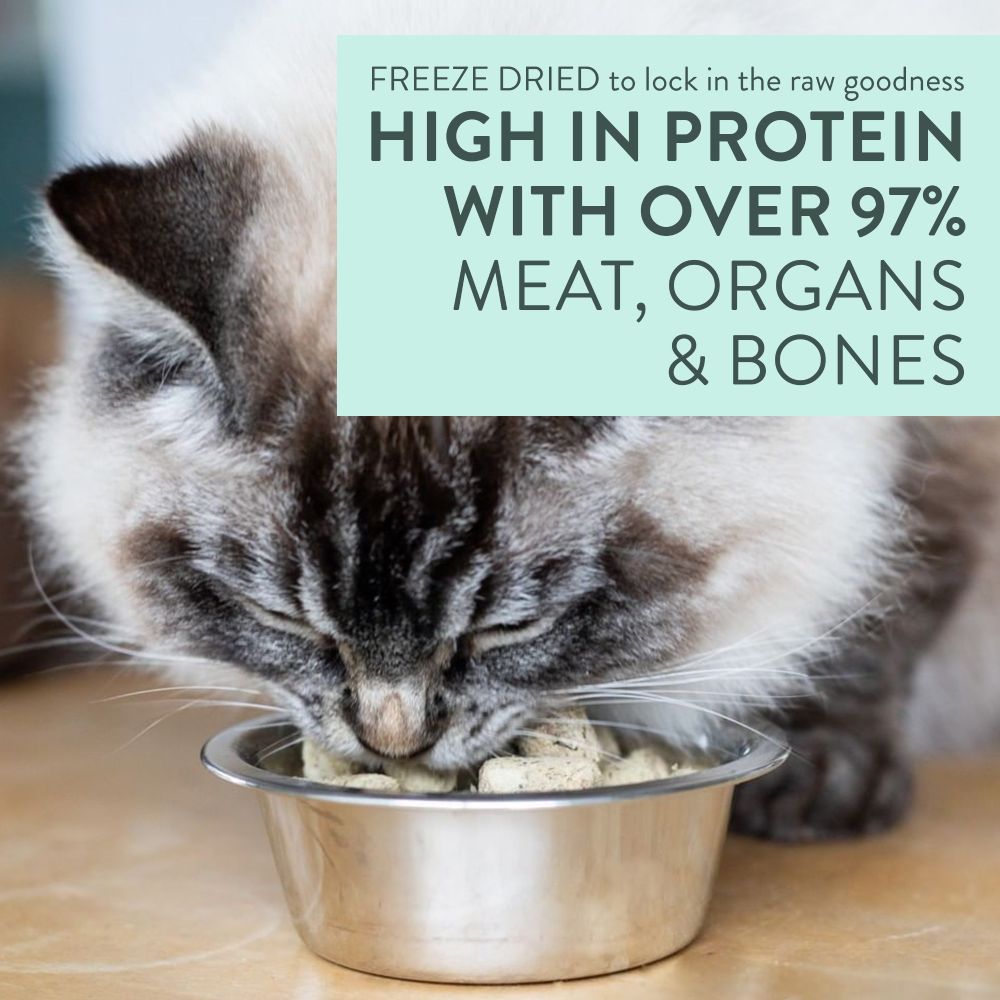 Lamb and King Salmon Freeze Dried Cat Food