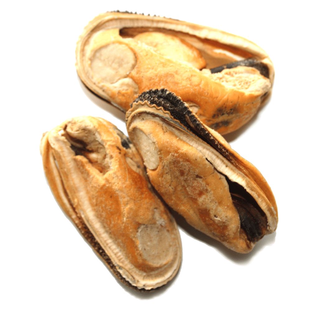 New Zealand Green Mussel Dog Treats